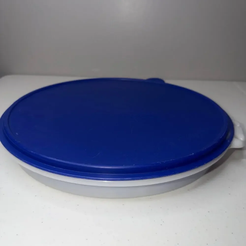 Vintage Blue Tupperware Divided Serving Tray Vegetables Snacks Lid